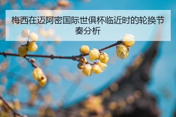 mei-xi-zai-mai-a-mi-guo-ji-shi-ju-bei-lin-jin-shi-de-lun-huan-jie-zou-fen-xi-2-406.jpg
