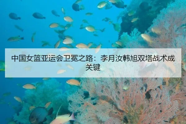中国女篮亚运会卫冕之路：李月汝韩旭双塔战术成关键